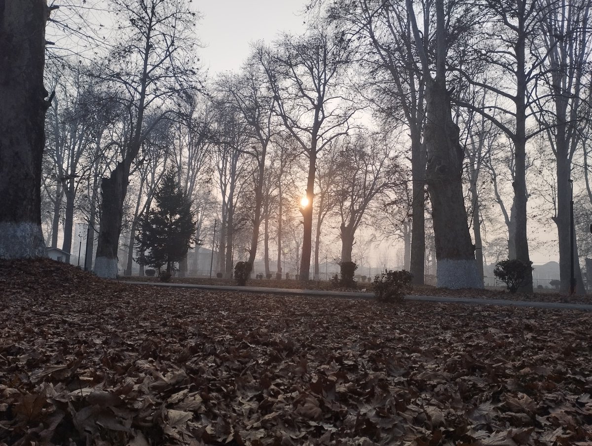 kumar_rameez143's tweet photo. Aap Jis Kay Jee Mein Aaye Wohi Roshni Paaye. 
Humne Tou Dil Jala Kay Sar e Aam rakh diya! 

#University #AutumnFalls #NaturePhotography #WINTER #memories #DUSK https://t.co/yappM4zEHk
