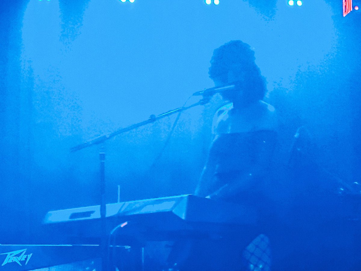 Forestry Division tweet media