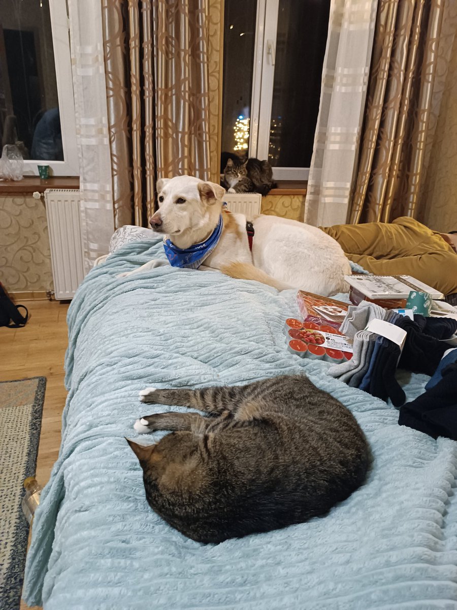 Окружена, но не сломлена