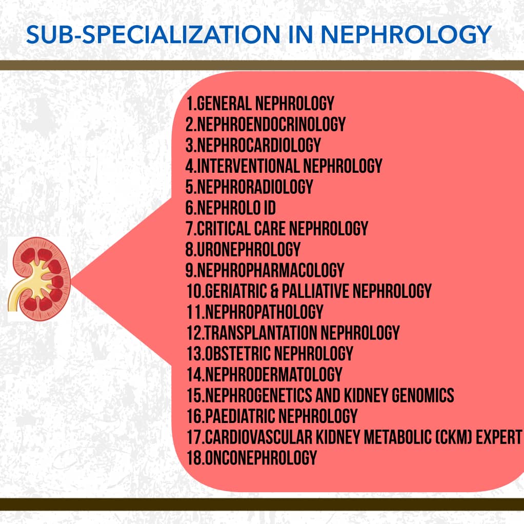 rkalyes1's tweet photo. 📚🌟 The field of Nephrology has grown by leaps and bounds!
🔥Check out the sub- specialities you can join as a super specialist!
Let us know how we can help!
@ISNkidneycare 
@CharuMalik_ISN 
@goKDIGO 
@ASNKidney 
@AfricanAFRAN 
@ERAkidney 
@WomenNephAfrica 
@WomenNeph_india 
 🔥 https://t.co/s8M2N7VTgE