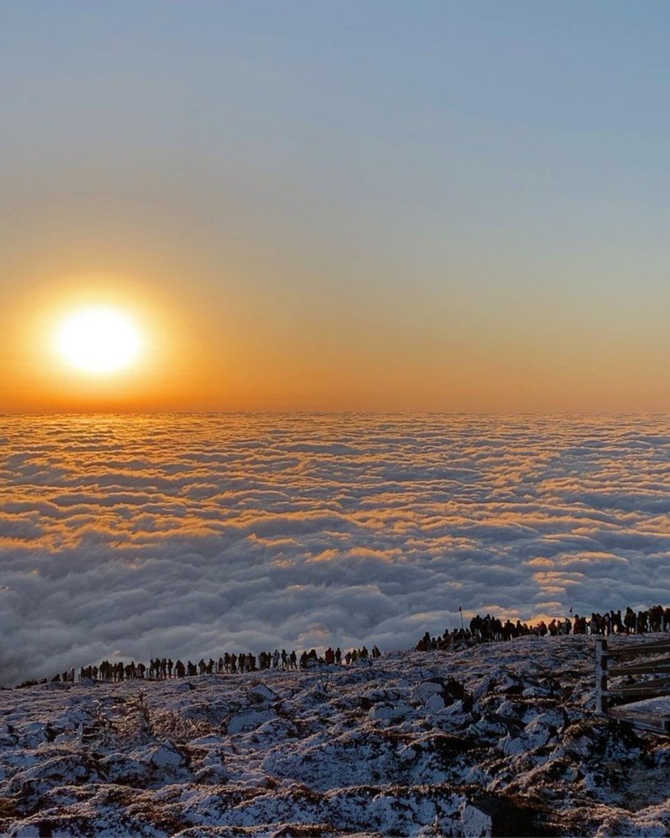 KoreanAir_KE's tweet photo. Let’s rise to the location at these top #sunrisespot for the New Year in South Korea! 🌞😉
📸 via IG
(1) @_pencil4b
(2) @piece.hee_Jeju
(3) @teejaykim_Gangneung
(4) (5) @vinodok_Busan
(6) @aditya_photos_Pohang https://t.co/oGLs7Aw49y