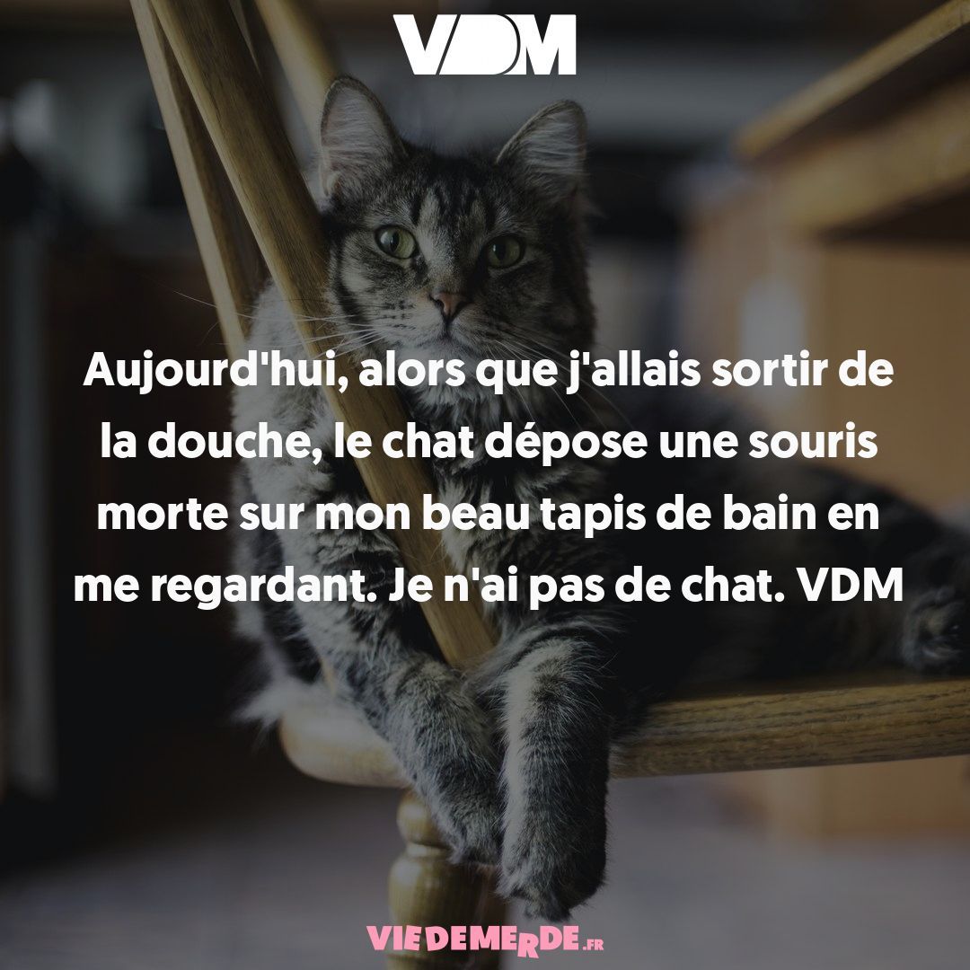 Postez vos VDM les plus drôles ici : viedemerde.fr/?submit=1 et/ou téléchargez notre appli officielle - viedemerde.fr/app