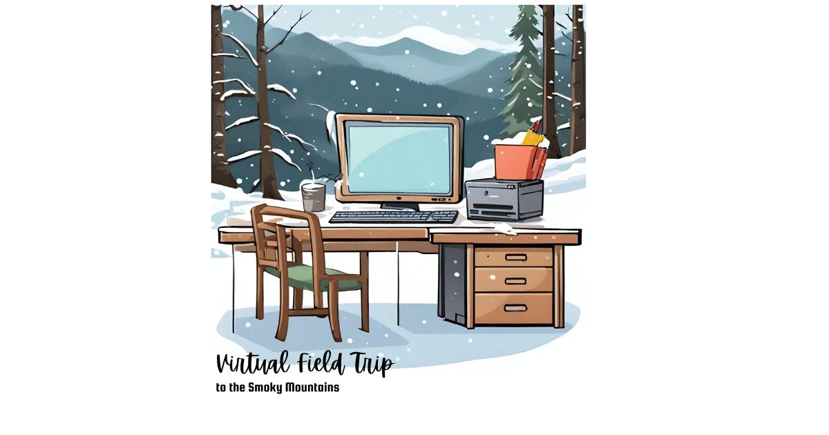 GreatSmokyNPS tweet media