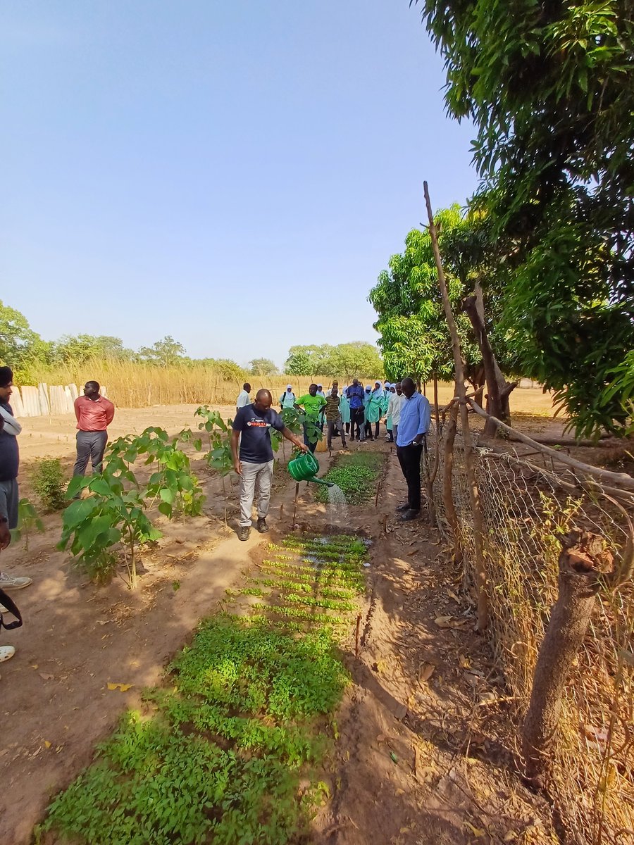 Khalsa_Aid's tweet photo. In May 2023, #KhalsaAid installed a 5000L water system in Kallagi School in #TheGambia. Recently, with the water provided, the school created a Khalsa Aid garden. The garden is used to run agriculture lessons for the children!

#Water4Africa @ukinthegambia #COP28 #ClimateChange https://t.co/hTD90K9581