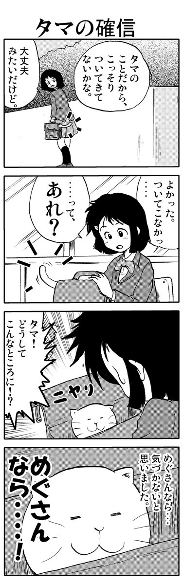 うちのタマが「進化」しました。⑰    

※ タマは「学校」にいきたい。 