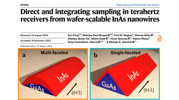 Tailored nanofaceting in InAs nanowires engineer THZ photodetection modes, a lively collaboration with M Johnston and @KunPeng25843400 @OxfordPhysics; @NickForScience @ValerioPiazzaVP @didemdedee @Materials_EPFL @EPFLEngineering rdcu.be/duX2X