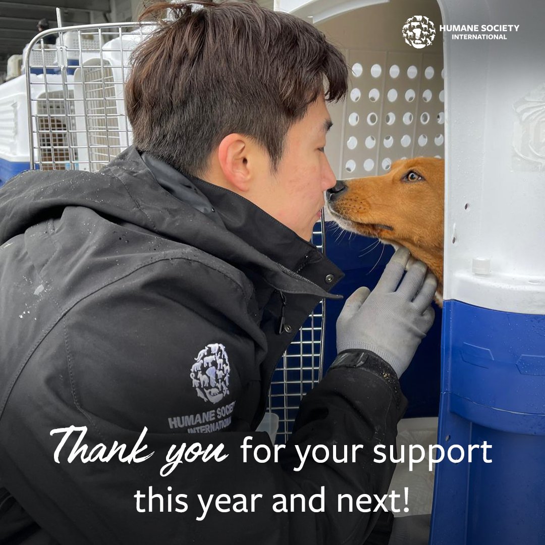 humaneworldnews's tweet photo. Happy New Year! 🐶🐱 Thanks to your generous support, we finished 2023 strong. As we look to this new year, our mission remains the same: Help all animals and work to end cruelty across the globe.  

Your support is critical to continuing this lifesaving work. Thank you, from the bottom of our hearts. 💚🐾