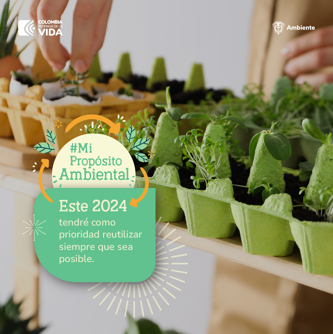 MinAmbienteCo's tweet photo. Reutilizar será #MiPropósitoAmbiental en 2024. Así aporto a reducir residuos, conservar los recursos y minimizar el impacto ambiental que causa la contaminación, la acumulación de basura, la producción y el transporte de nuevos productos, y además ¡ahorro dinero💸! https://t.co/9JZU76hJwP