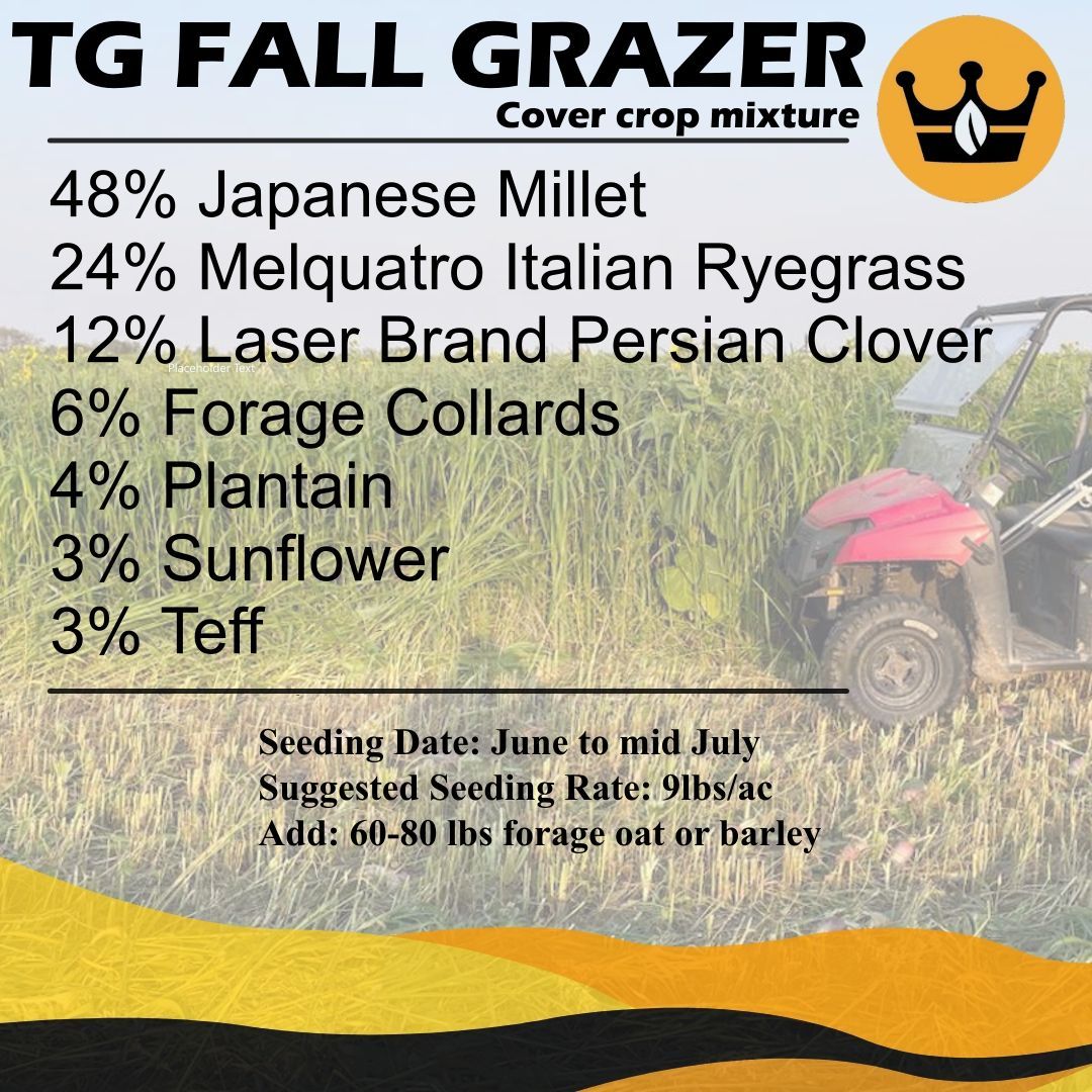 Our Fall Grazer cover crop mixture is a mix of warm and cool season grasses. Plantain provides extended grazing with high sugar content, while collards add stable production and high feed quality.🌱