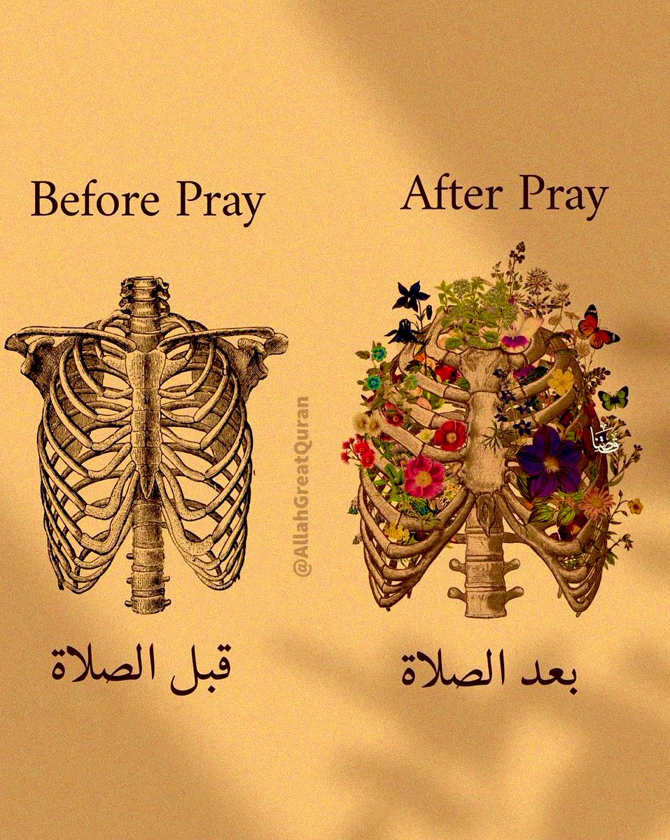 quran_makesMS's tweet photo. Prayer is healing 🩶 https://t.co/xTVvPaNh2D