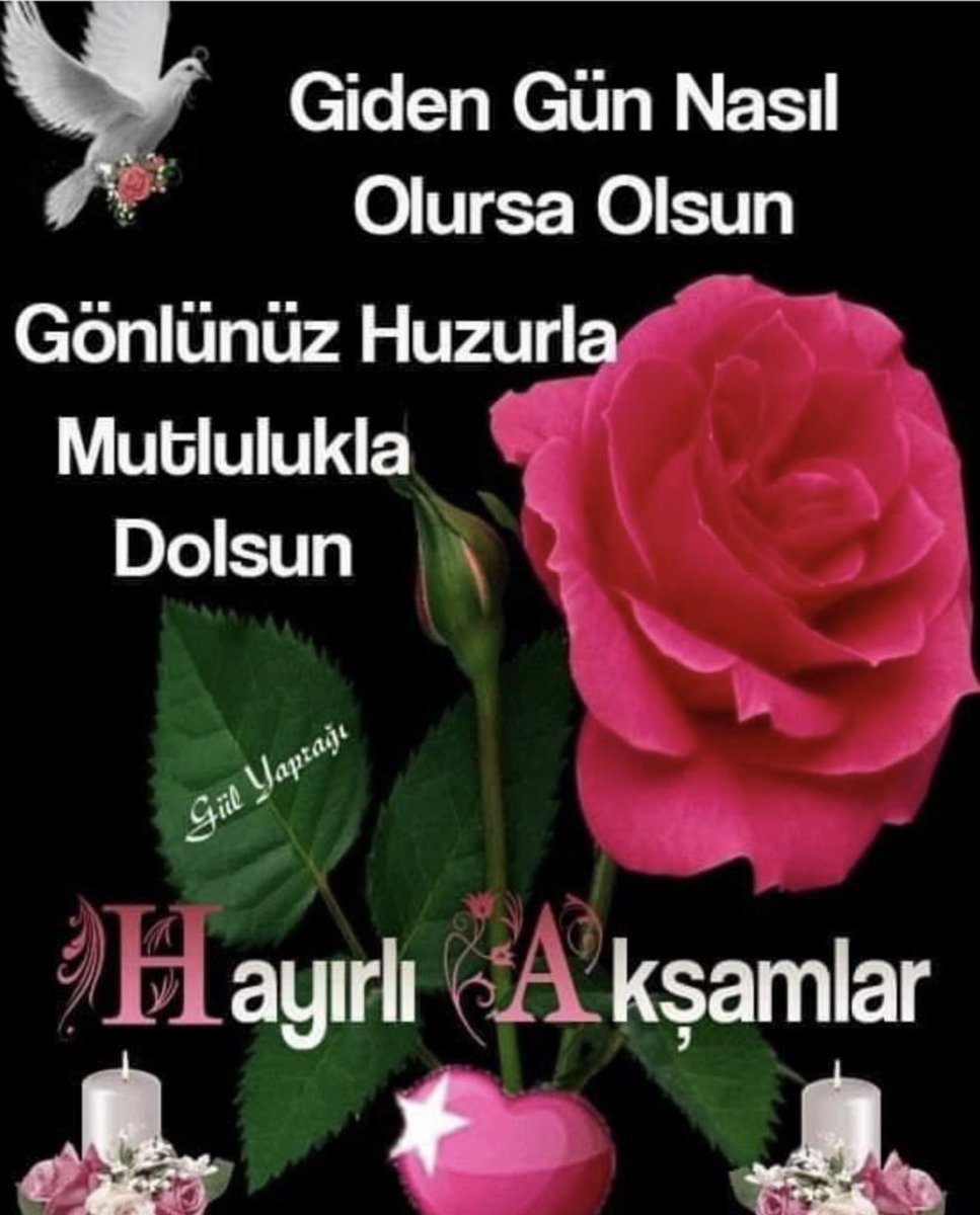 CANAN SÜZGÜN (@cananszgn) on Twitter photo 