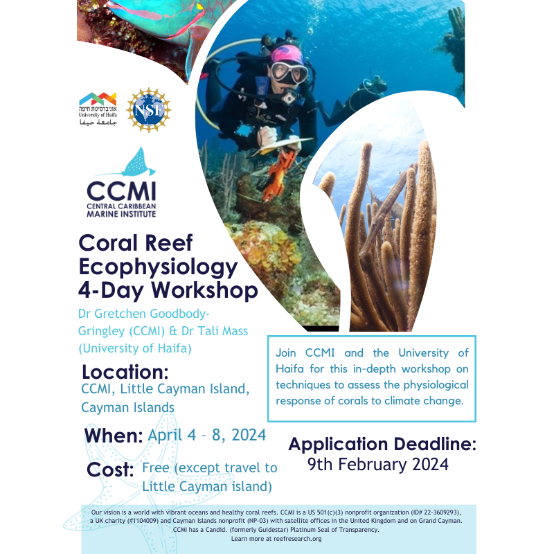 reefresearch's tweet photo. 🚨Do you want to develop coral ecophysiology skills?  Dr Gretchen Goodbody-Gringley &amp; Dr Tali Mass are hosting a FREE workshop for 10 participants, funded by NSF, April 4-8, 2024, at CCMI's Little Cayman Research Centre. 

Full details &amp; application info: https://t.co/bK9h16Vi8o https://t.co/ql4GxiHEOb