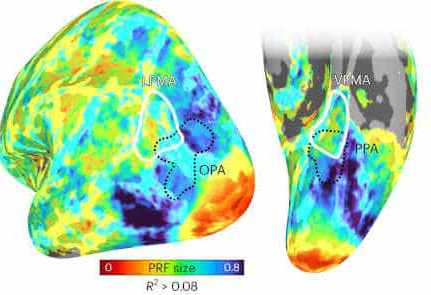 Sciencebeta tweet media