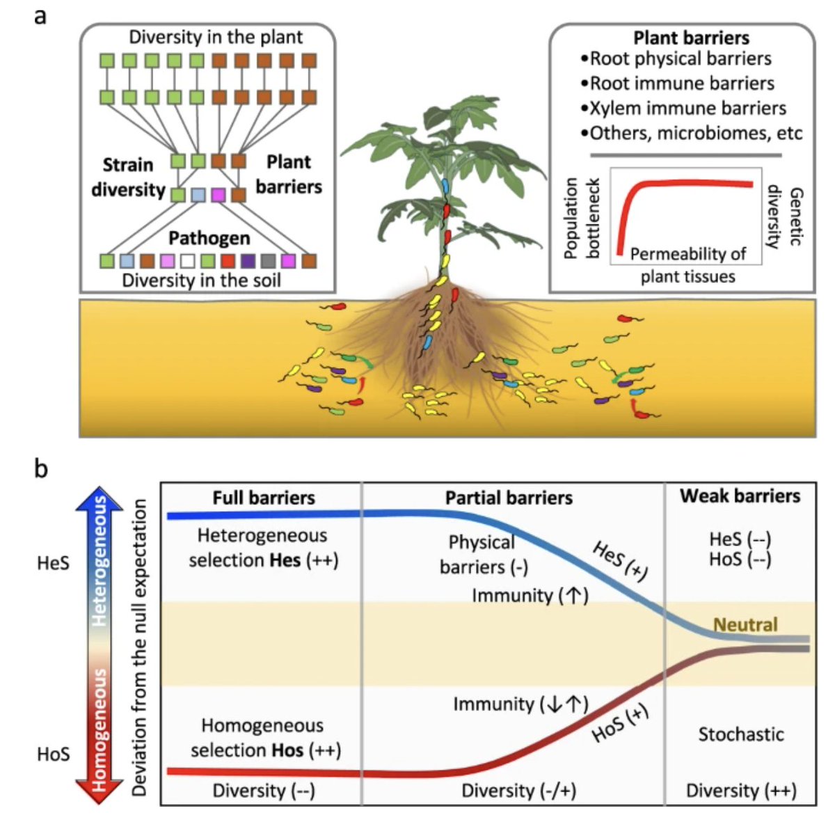 F Dini-Andreote (@fdiniandreote) on Twitter photo Happy New Year 🎆 Our first paper of 2024 is online now -> Effects of plant tissue permeability on pathogen population bottlenecks -> Just out in <a href="/NatureComms/">Nature Communications</a>
doi.org/10.1038/s41467…
<a href="/PSUPlantScience/">Department of Plant Science</a> <a href="/PSUmBiome/">One Health Microbiome Center</a> <a href="/huckinstitutes/">Huck Institutes</a> <a href="/agsciences/">Penn State College of Agricultural Sciences</a> Happy New Year 🎆 Our first paper of 2024 is online now -> Effects of plant tissue permeability on pathogen population bottlenecks -> Just out in <a href="/NatureComms/">Nature Communications</a>
doi.org/10.1038/s41467…
<a href="/PSUPlantScience/">Department of Plant Science</a> <a href="/PSUmBiome/">One Health Microbiome Center</a> <a href="/huckinstitutes/">Huck Institutes</a> <a href="/agsciences/">Penn State College of Agricultural Sciences</a>