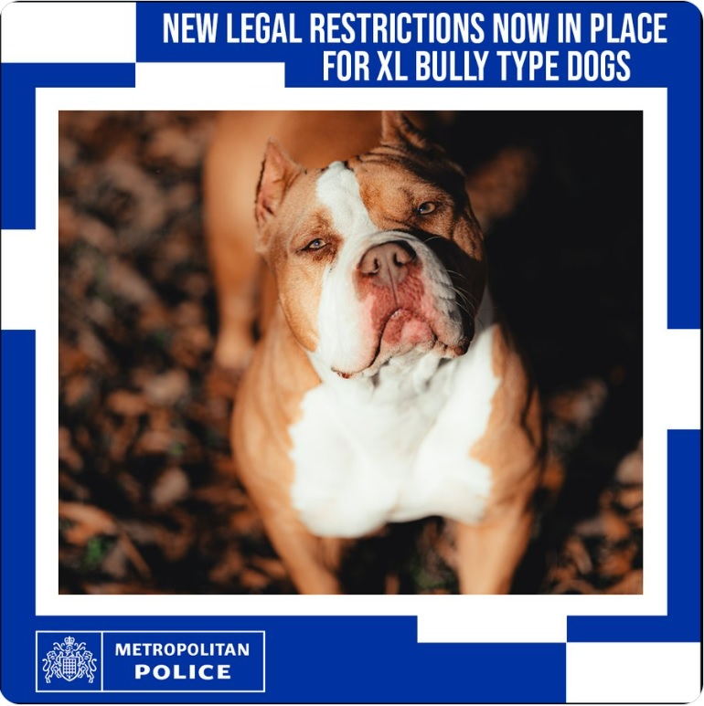 MPSPondersEnd's tweet photo. 🆕New legal restrictions on #XLBullytype dogs are now in place. 

🧾Read more on today’s changes:
https://t.co/3z6SuLjUOF

🦮How to prepare for the ban: https://t.co/6jfeo7qZVK https://t.co/uQ9Ub0ejKX