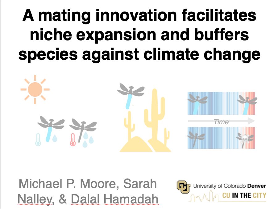 Check out some of my @CUDenver lab's new work at #SICB2024 where I'll be talking about dragonfly mating characters and evolutionary innovation on Wednesday 1/3 at 9:15 in Room 602!