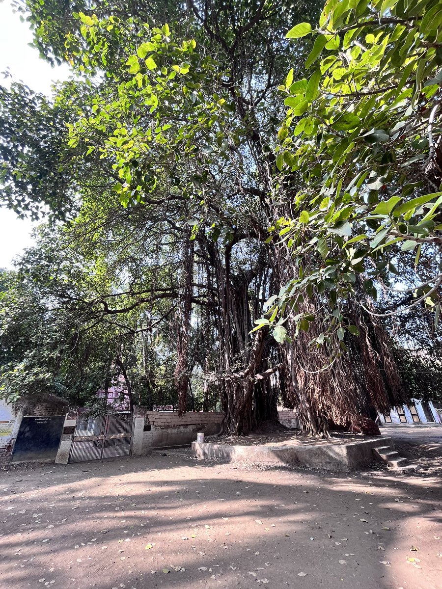 KandarpRaval_'s tweet photo. #ClickOfTheDay
#Kandarpsclick https://t.co/sQ85mAEvN4