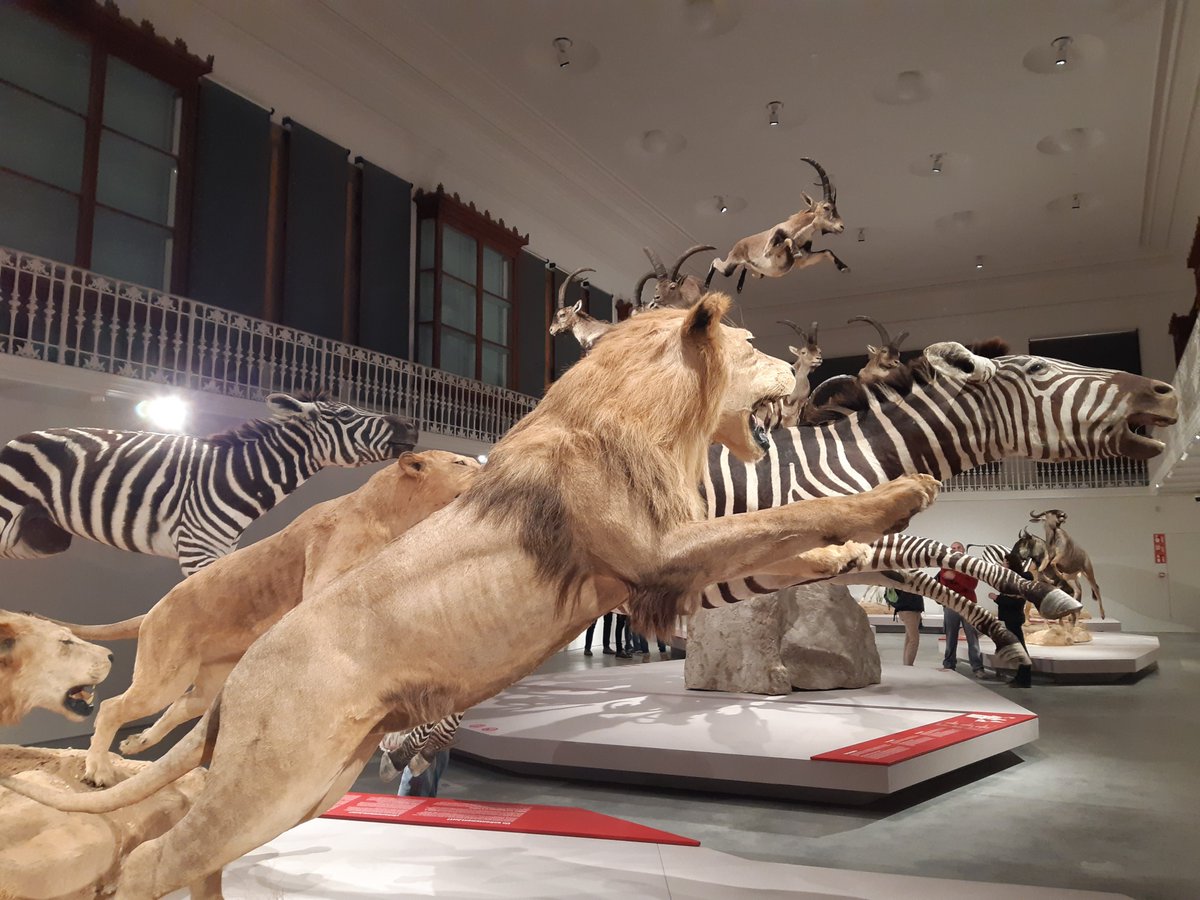Una de les instal·lacions de l'exposició "Wow" del Centre Martorell d’Exposicions <a href="/museuciencies/">MCNB</a> em remet immediatament al grafiti de la  <a href="/KasaDlaMuntanya/">Kasa de la Muntanya</a> , encara que de significat contrari.