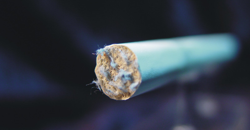 el hombre pulpo tweet media