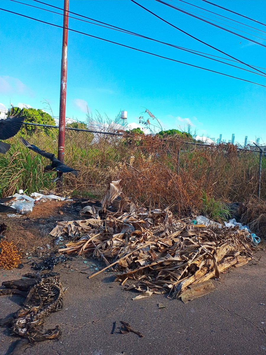 Jesniethr1's tweet photo. Ya vamos por el #2024 y #CiudadBolívar sigue en la inmundicia... https://t.co/7FA3HU7xhd