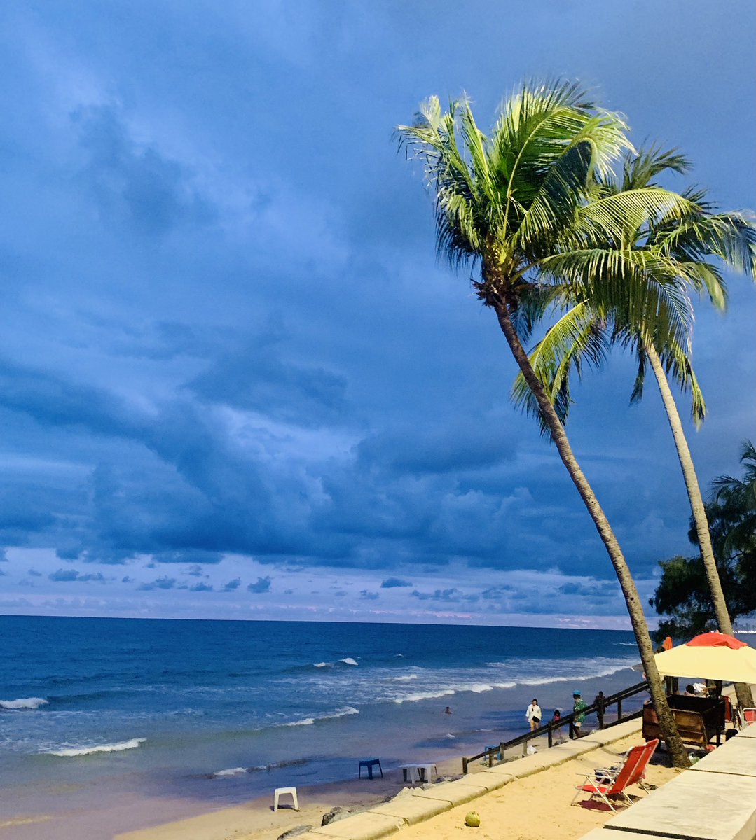 Dayana Silva tweet media