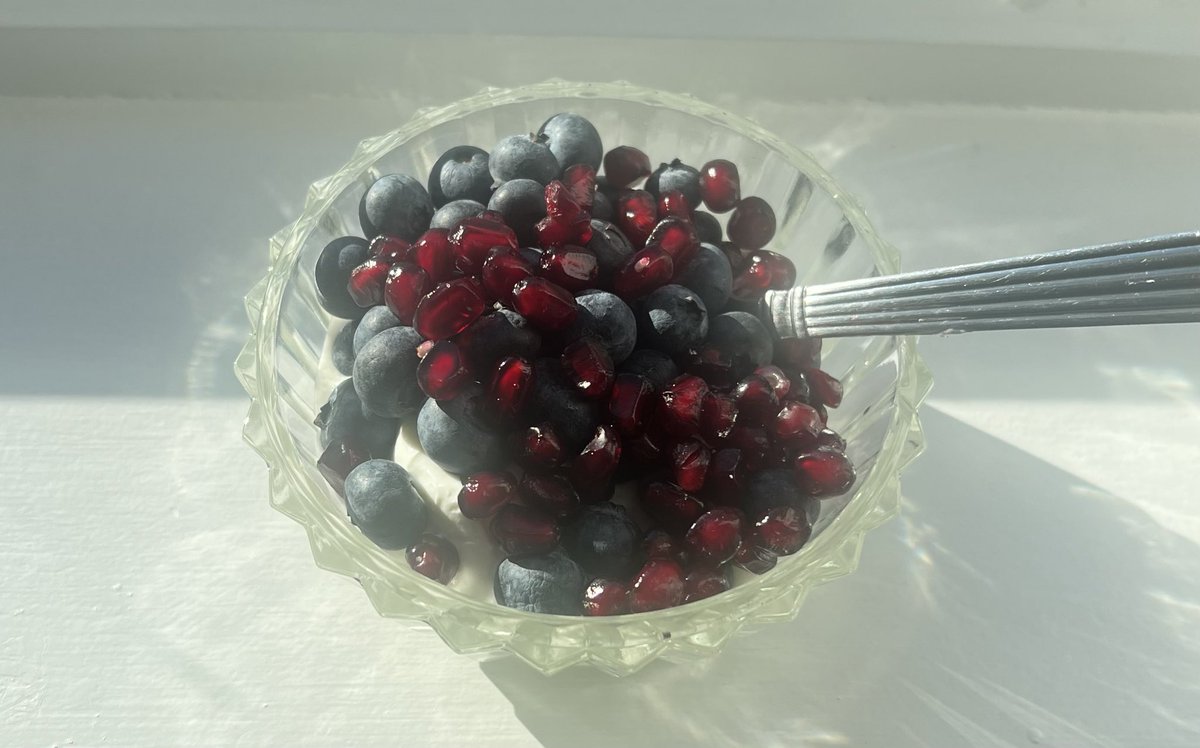 Pomegranate/Blueberry/Yogurt