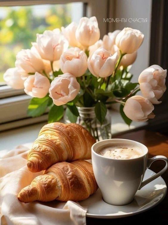 imDavidRA's tweet photo. Buen día…
Al despertar cada mañana, podemos estar seguros confiando en Dios…
#FelizMartesATodos https://t.co/fniW6ys88j