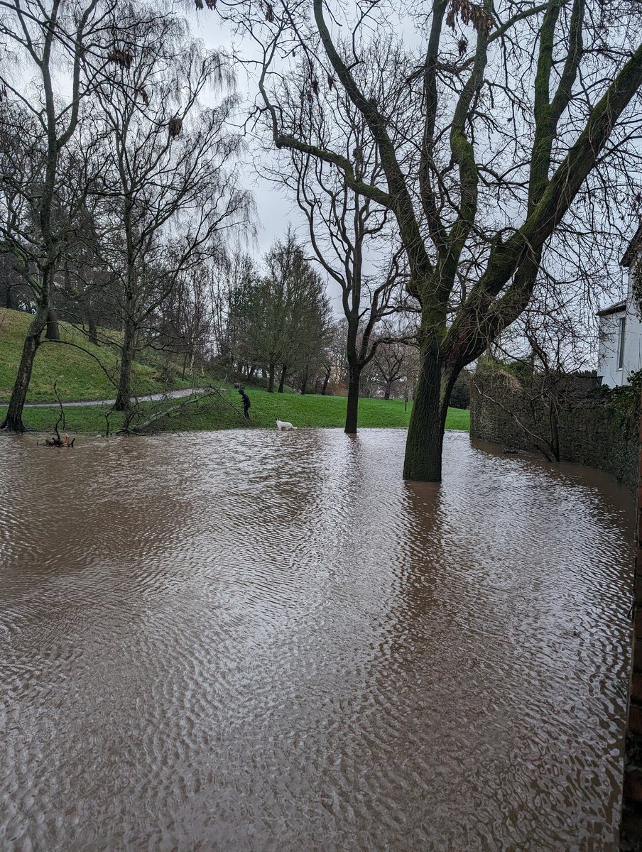 margedhaf's tweet photo. @cyngorcaerdydd @cardiffcouncil Please sort out the drainage in Thompsons Park. There is only meant to be one lake in the park. Sortiwch y llifogydd allan os gwelwch yn dda. https://t.co/w8xIuZGCav