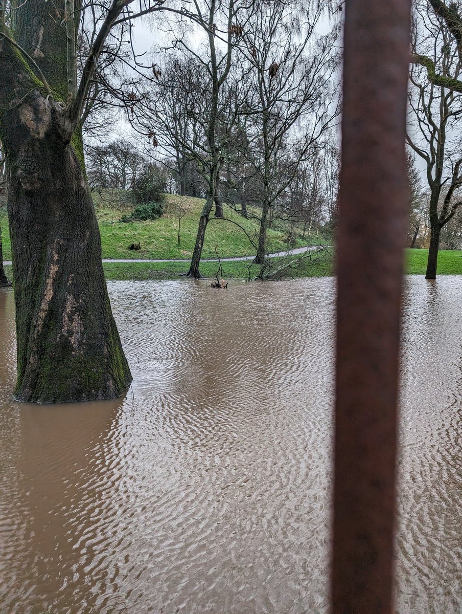 margedhaf's tweet photo. @cyngorcaerdydd @cardiffcouncil Please sort out the drainage in Thompsons Park. There is only meant to be one lake in the park. Sortiwch y llifogydd allan os gwelwch yn dda. https://t.co/w8xIuZGCav