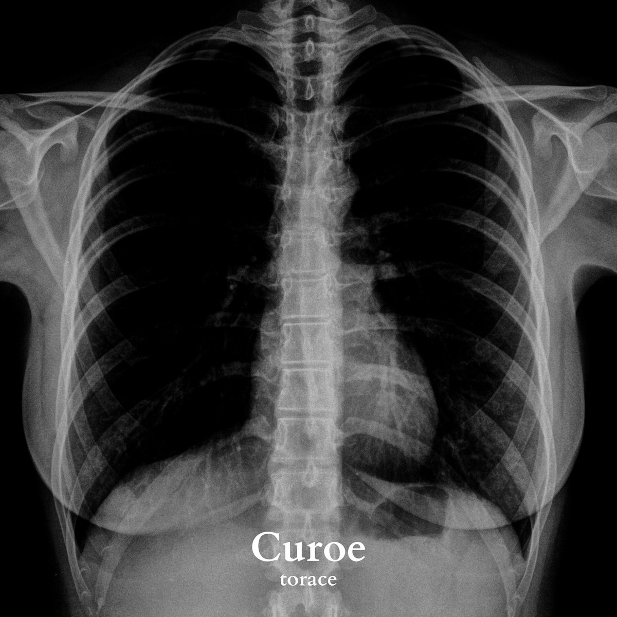 sc_ca_'s tweet photo. 【New Release!】

Curoe new single.
『torace』

https://t.co/Ua499nlCe8

上記リンクの各種配信サイトにて
ご視聴頂けます。

#curoe #torace https://t.co/94rZQaD3MI