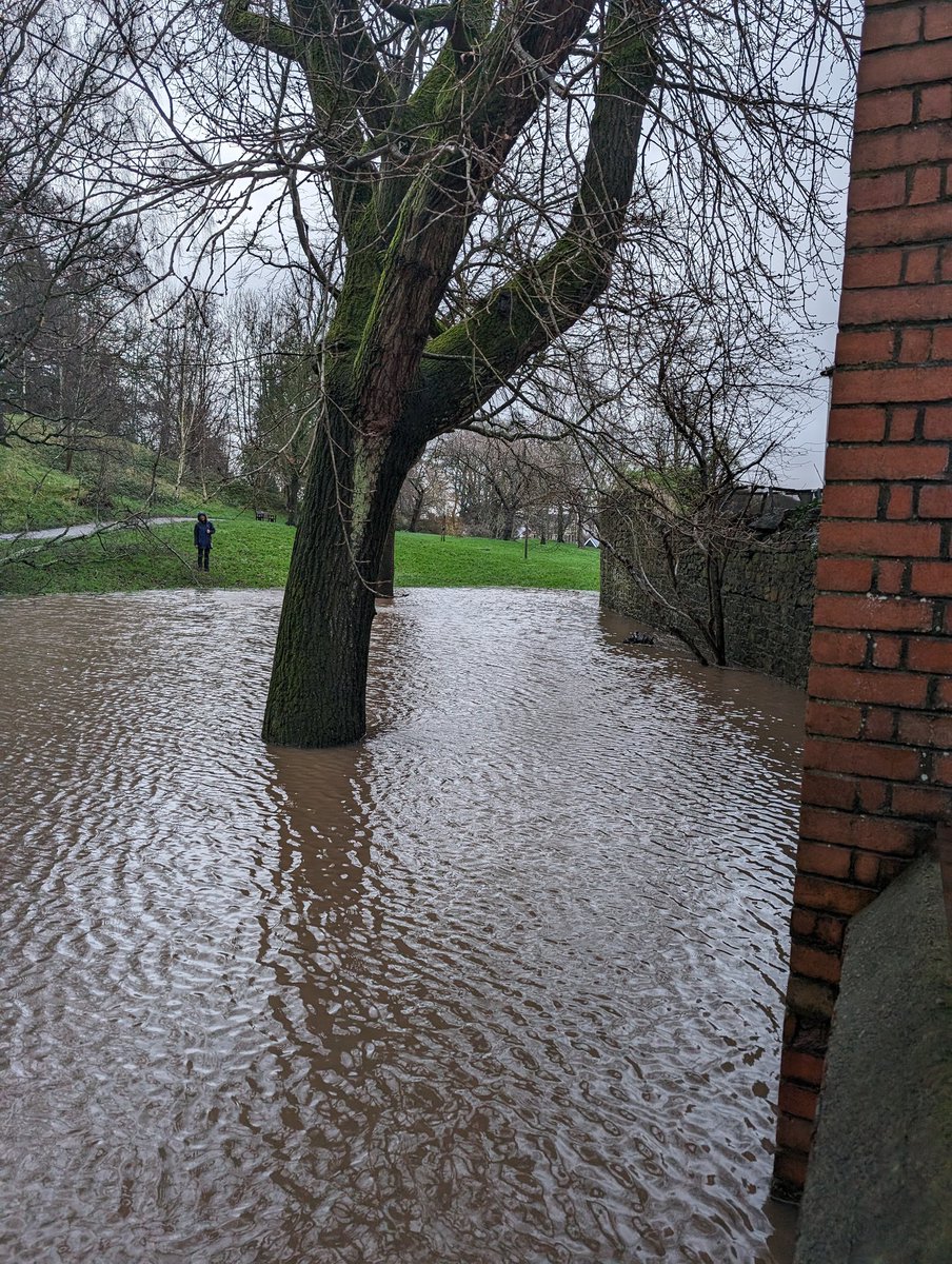 margedhaf's tweet photo. @cyngorcaerdydd @cardiffcouncil Please sort out the drainage in Thompsons Park. There is only meant to be one lake in the park. Sortiwch y llifogydd allan os gwelwch yn dda. https://t.co/w8xIuZGCav