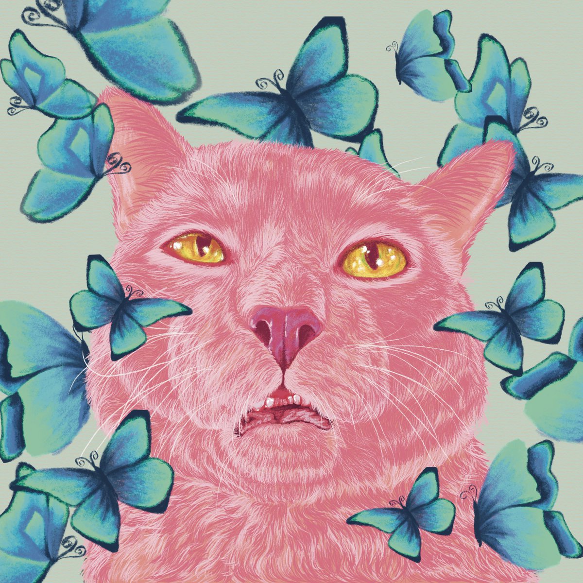 32101Run's tweet image. ชื่อเดียร์ค่ะ ชอบวาดรูปแมว รับวาดรูปสัตว์เลี้ยงด้วยนะคะ
ฝากติดตามแอคเดียร์ด้วยนะคะ