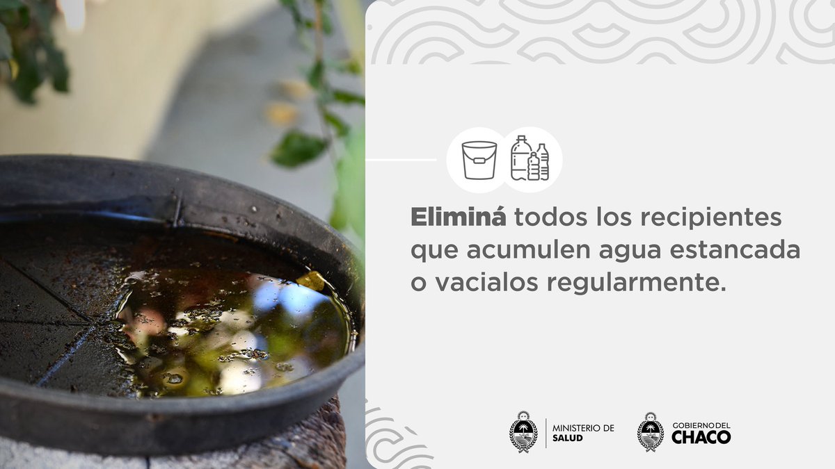 Prevení el Dengue 🦟🚫 Impedí que las larvas del mosquito se críen en tu hogar.