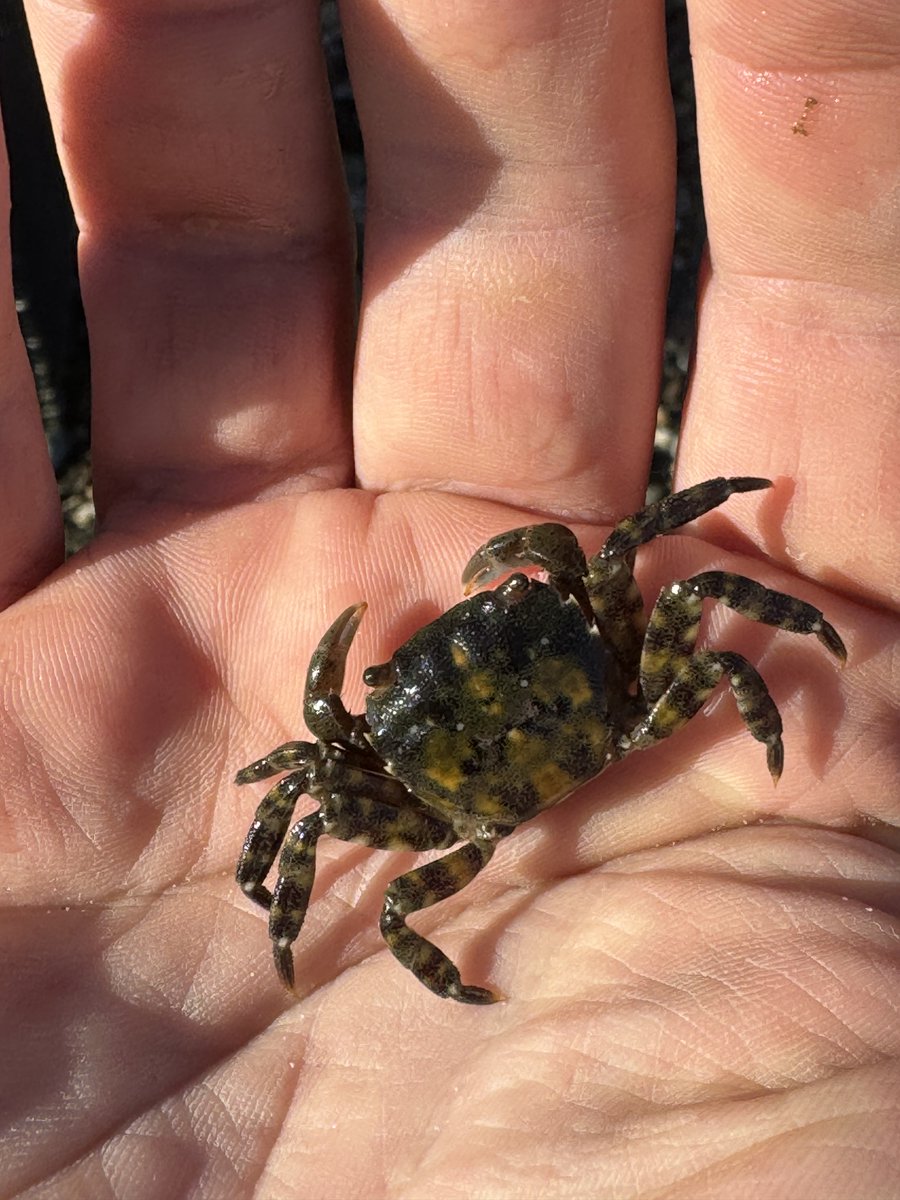 CoastalStudies tweet media