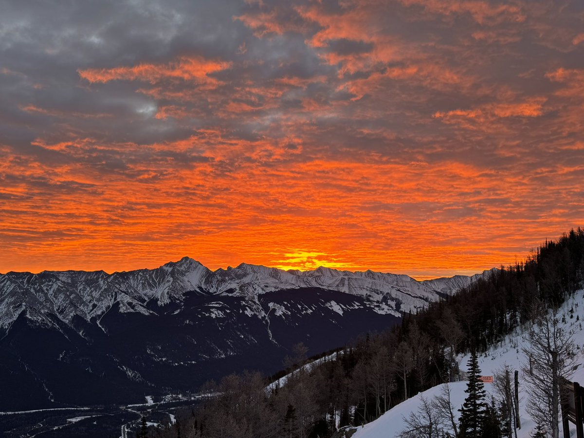 Washed_Up's tweet photo. Another beautiful #chinook #sunrise as seen from the top of #Goldexpress @SkiNakiska in #Kananaskis valley #January2024 #abstorm #ShareYourWeather https://t.co/XmlTdLk9lu