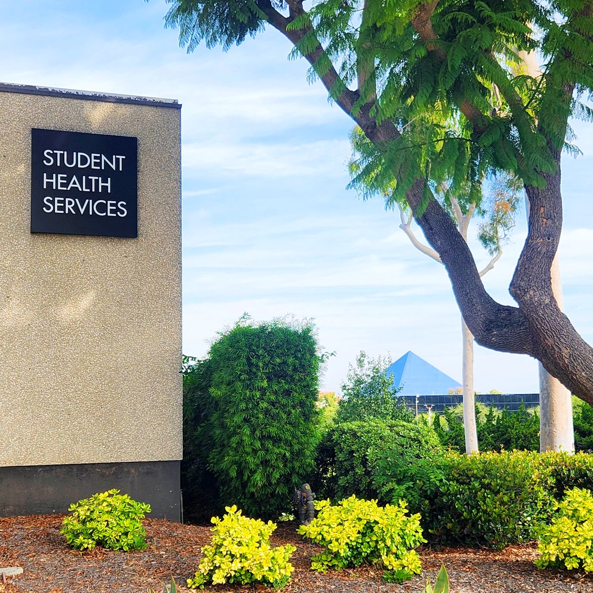 csulbwellness's tweet photo. πNew Year, new you, and we're here for you, too! π
Start your new year right by visiting CSULB Student Health Services. Our staff is committed to provide sensitive & quality health care to CSULB students β₯
#gobeach #csulbshs #nobarriers #collegehealth #csulb #csulongbeach https://t.co/p08vbDoZe5