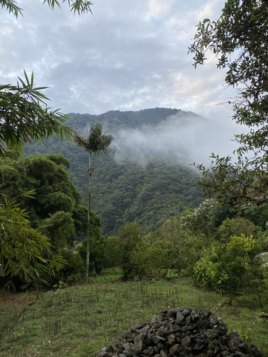 ViajaLaVida's tweet photo. Celebrando año nuevo desde un rincón rodeado de naturaleza, estuvimos desconectados hasta ayer, y nos despedimos del 2023 con agradecimiento y recibimos el 2024 compartiendo un delicioso tigrillo (hecho por Andrea) con grandes personas y amigos 😊 https://t.co/4p70B8ufsW
