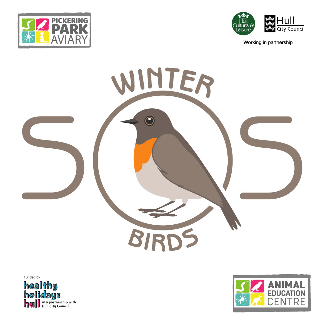 We still have places left at our Winter Birds activity at the Animal Education Centre! Book at now at hcandl.co.uk or visit liveithull.co.uk/health-wellbei… to find out what else we have going on for #healthyholidayshull