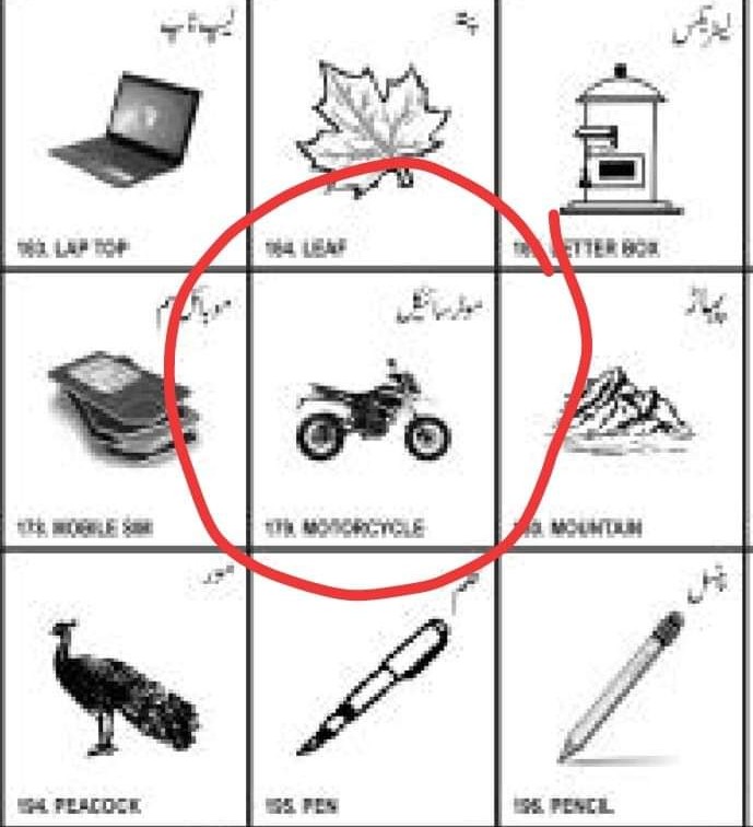 PAT in Elections
#PATinELECTION
<a href="/PATofficialPK/">PAT</a>
<a href="/PATofficialSM/">PAT Social Media ®</a>