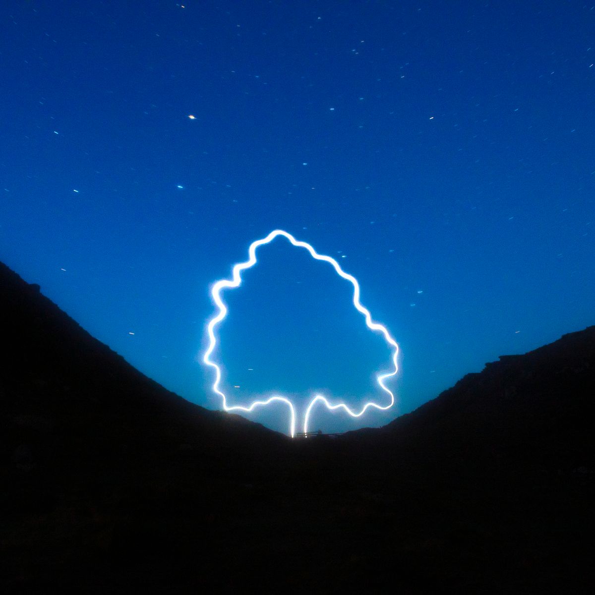 Claire Eason, UK artist, recently created a tribute to the Sycamore Gap tree, using light from drones in the space where the much loved landmark once stood #WomensArt