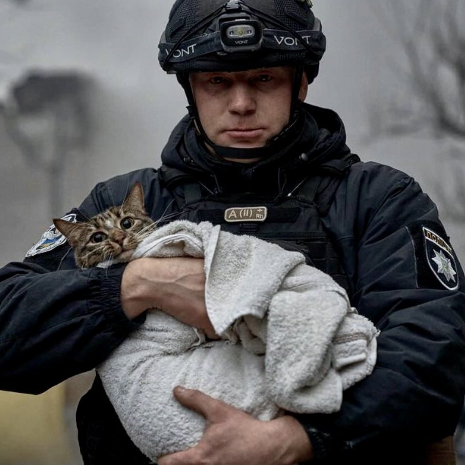 UAnimalsENG's tweet photo. 2024 commenced with another harrowing wave of terror from russia. On January 2nd, Ukrainian cities faced one of the most massive rocket attacks.
Rescuers and police officers are on-site amidst the destruction, saving both people and animals.
Every life is important🙏
📸 @Liberov https://t.co/81JWOQMqJP
