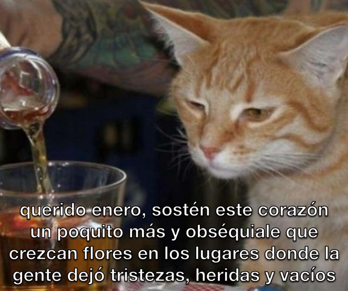 querido enero