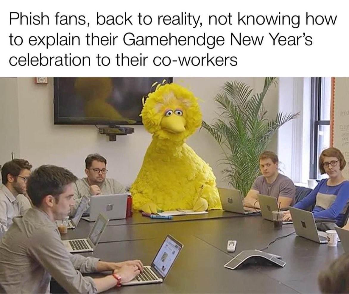 Honeybee🐝🌻✨ tweet media