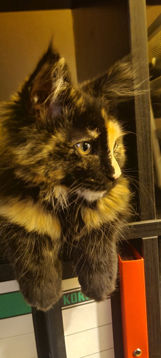 Sie war soooo klein 🥰