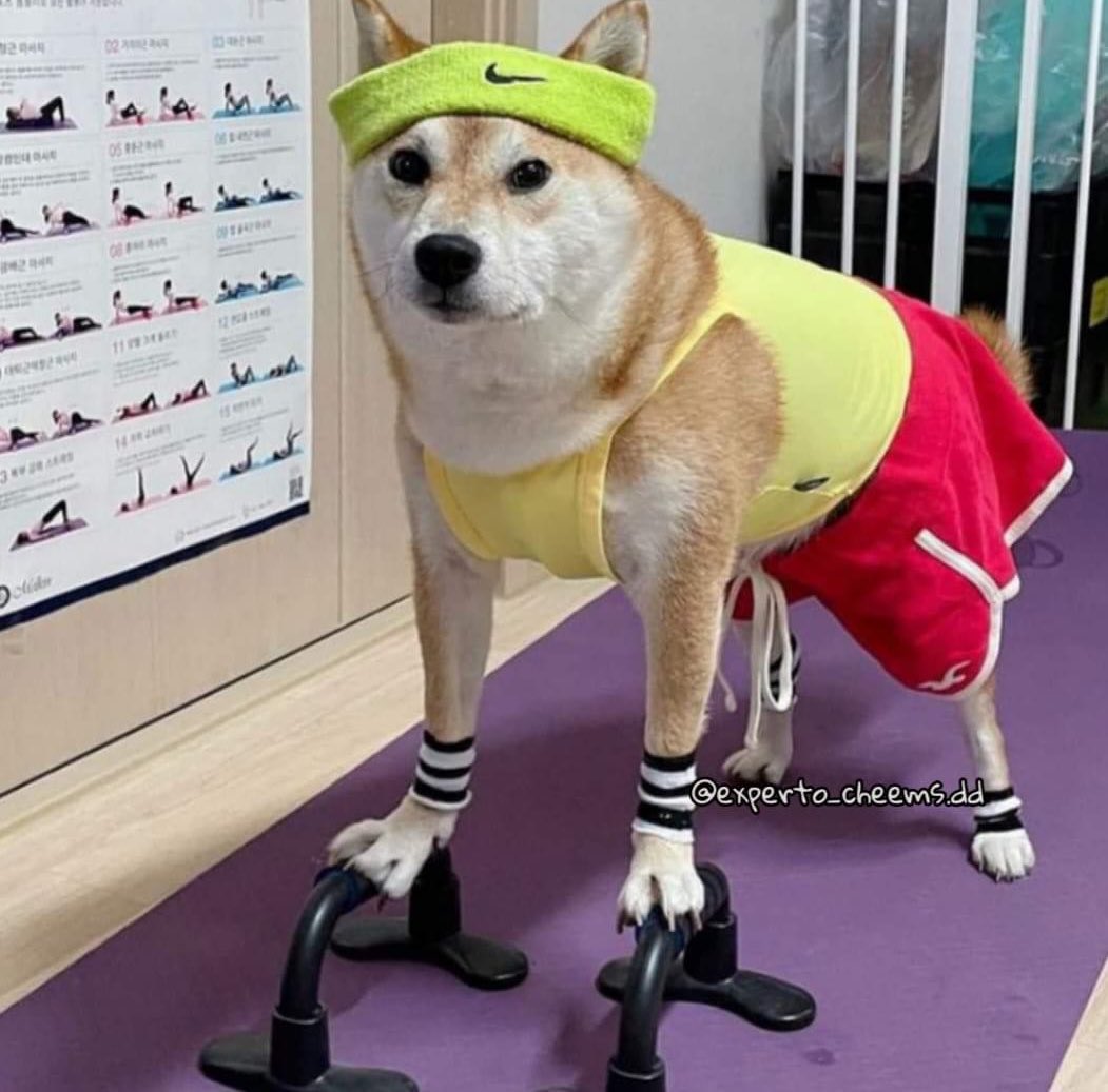 Ya es 2 de enero, ahora sí a volverme fit.