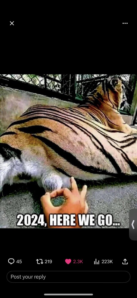 My mental image for 2024. All fucks have been abandoned and left to rot in 2023.