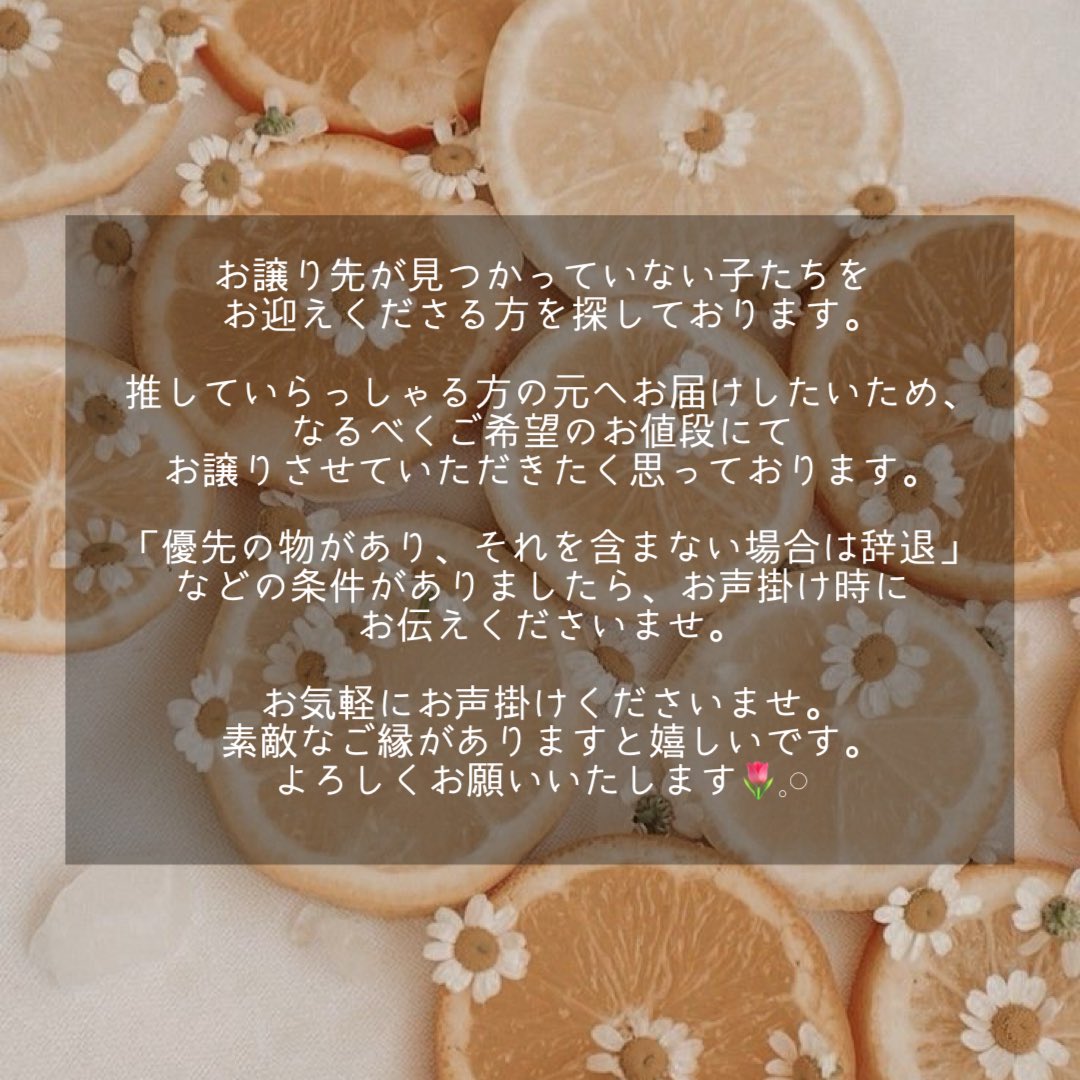 Tsukimura___'s tweet photo. 【ヒロアカ】交換 譲渡

求￤ご希望額〜定価＋送料
同異種 轟（or爆豪）

✿原作絵（特に🤍）は、定価でのお譲り・抱き合わせをお願いする場合がございます。 https://t.co/Go7NXe7x9U