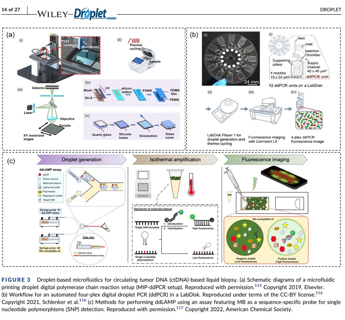CrozrX's tweet image. Recent advances in droplet-based microfluidics in liquid biopsy for cancer diagnosis. Strengths, drawbacks, challenges and future perspectives.
#CTCs #ctDNA #miRNA Circulating tumor #exosomes
🔻
doi.org/10.1002/dro2.92