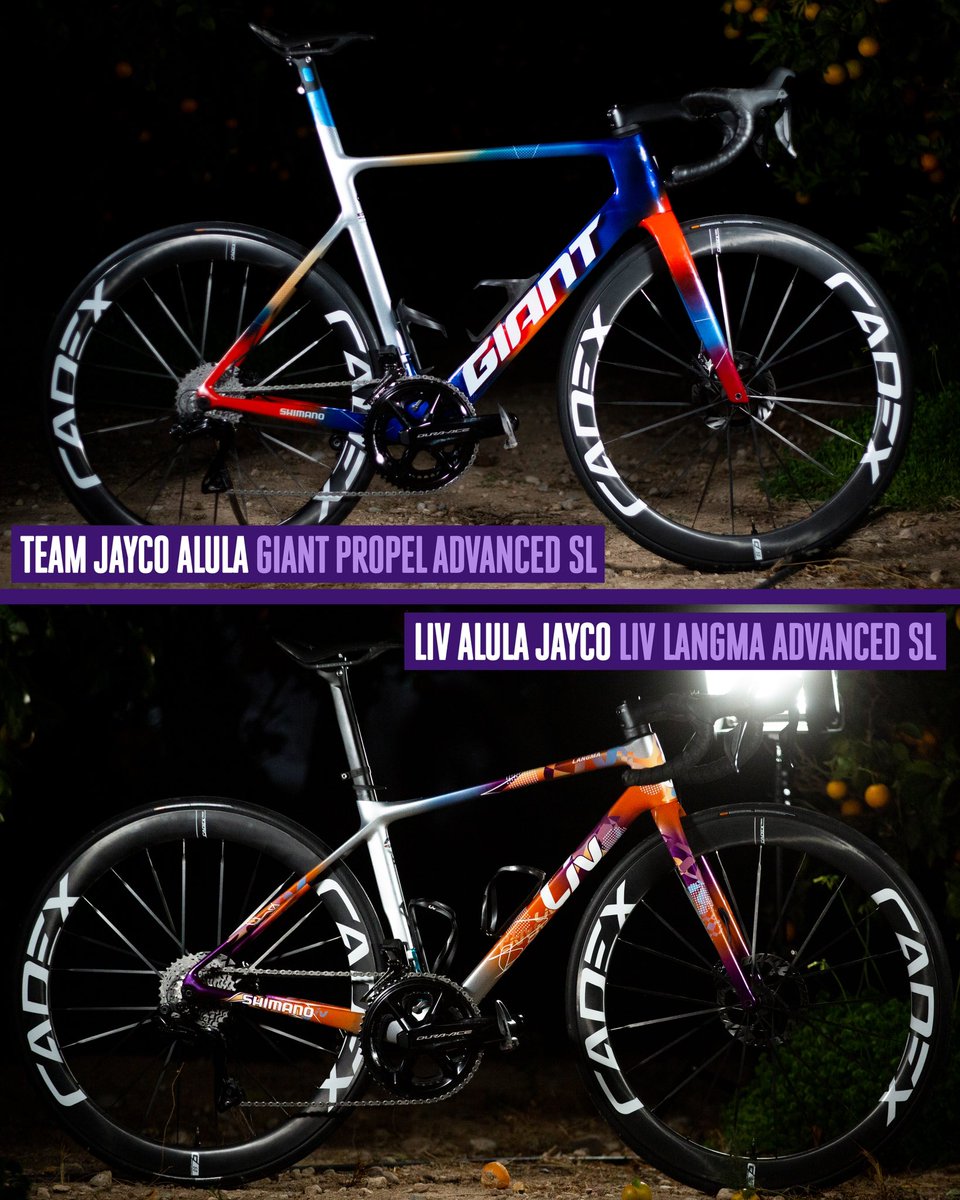 Team Jayco AlUla's and Liv AlUla Jayco's new bikes for 2024 are stunning 🤩 📸 @sprintcycling