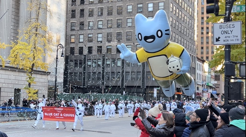 Cool Cats tweet media